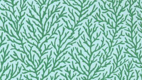 Atoll 112769
